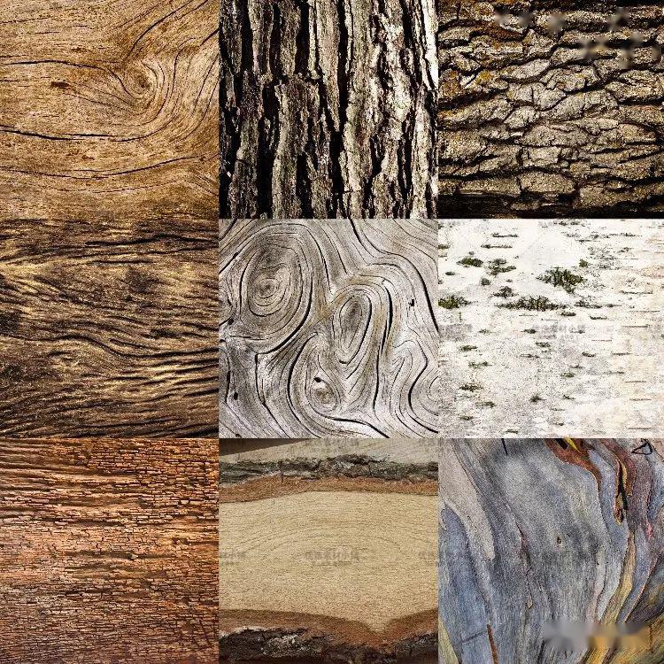 942树皮年轮树纹木皮树木表皮纹理高清材质贴图片