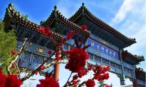 【运动】一条曲线从医的捷径?朝阳行业,最好的大学在北京运动康复专业