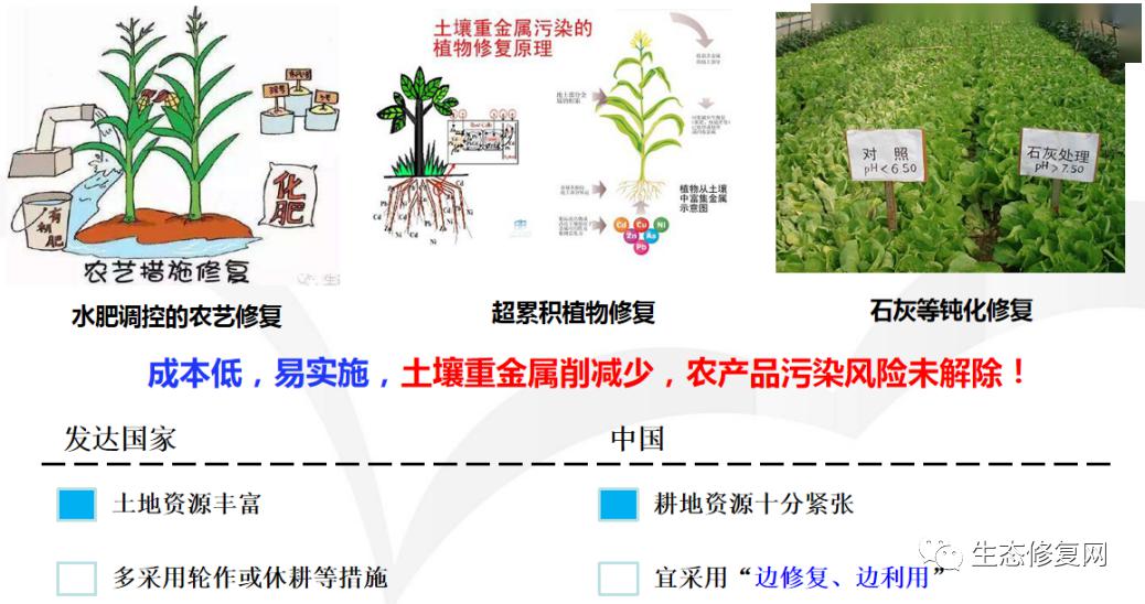 原位修复是农田土壤重金属修复的基本思路,提高修复效率,缩短修复周期