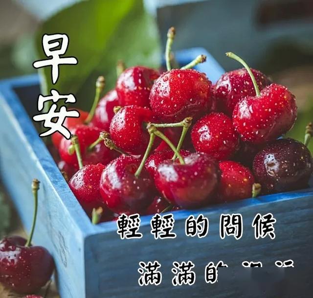 新版早安祝福语图片带字美图祝福,暖心早上好问候祝福