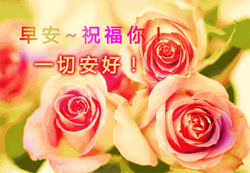 2020年早上好问候表情图片带字带祝福语早安祝福语短信大全