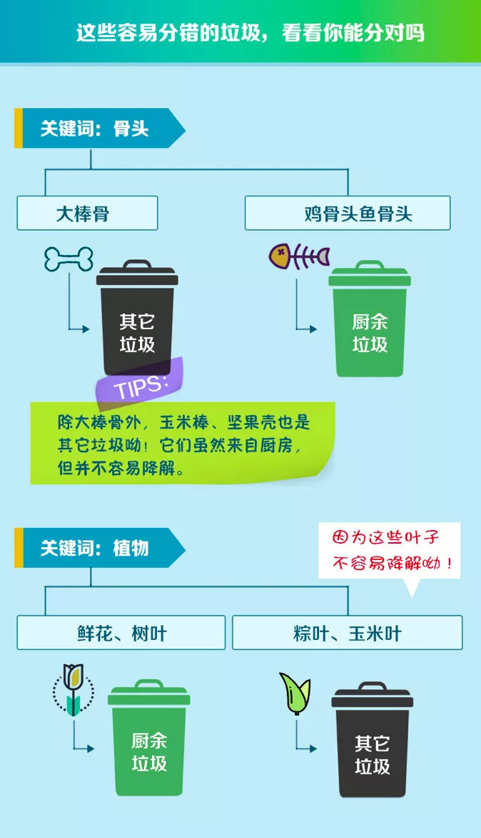 图解 | 垃圾分类划重点 这些垃圾你会分类了吗？
