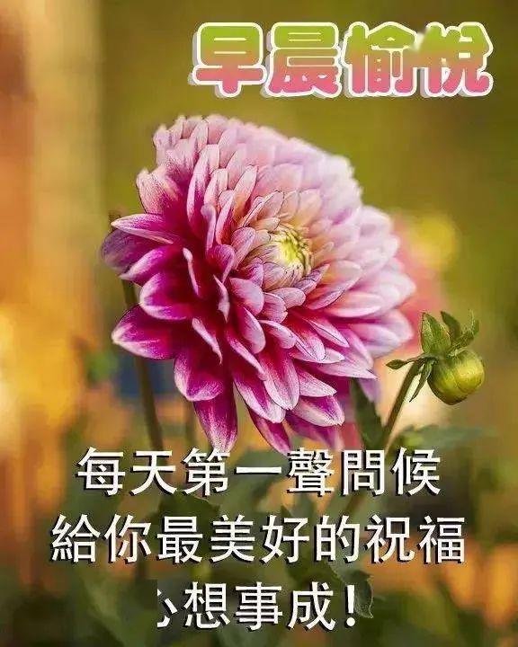 早上好祝福图片,早安问候句子