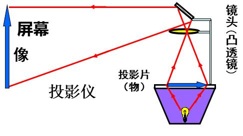 水可以倒立的原理是什么_一阶倒立摆是什么(2)