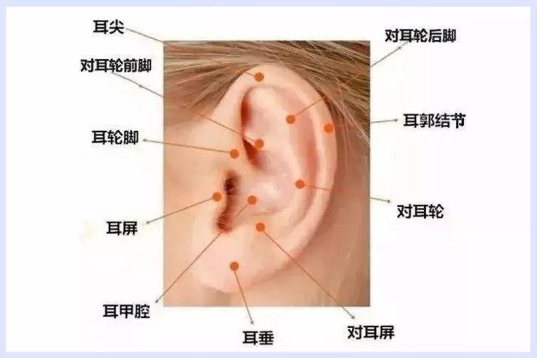 这5种人不能打耳洞求你们千万别打