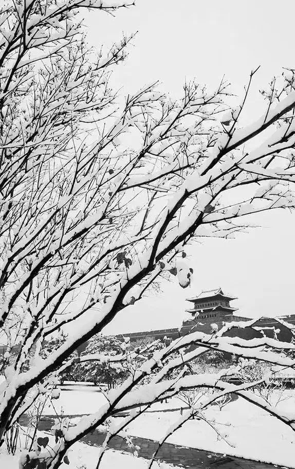 大同古城雪景▲大同明堂公园▲雪中恒山▲恒山悬空寺雪景▲大同