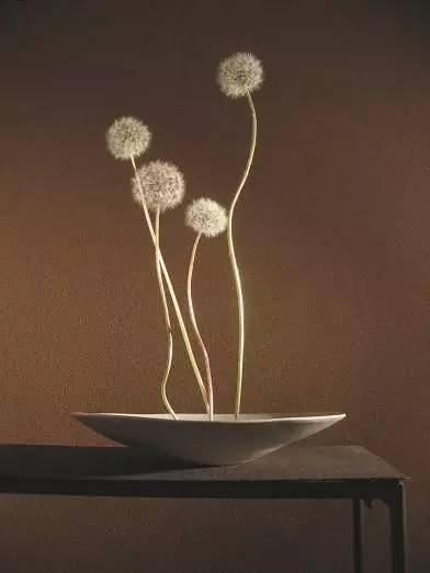 最美中式境插花,让浮躁的心归于平静