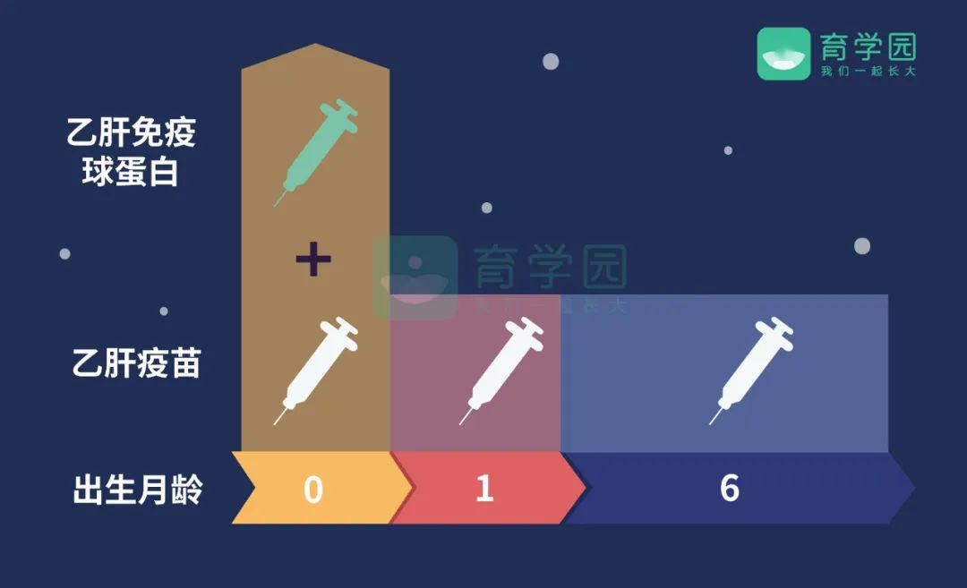 「传染给」会传染给宝宝吗？准妈妈是乙肝患者或乙肝病毒携带者