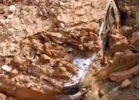 这段1.2亿人次浏览的视频来自惠阳！警方通报真