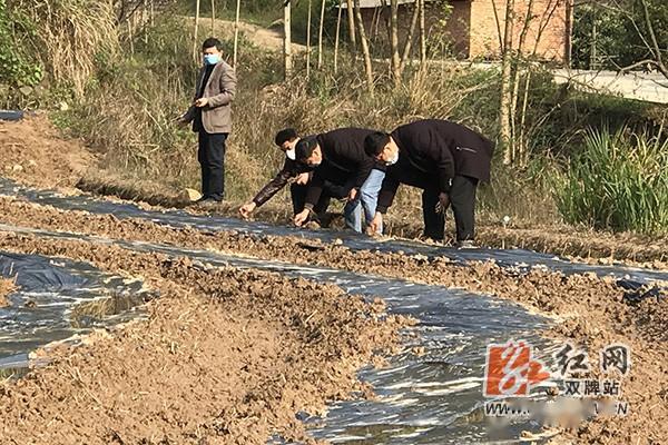 双牌瑶族人口_双牌二中图片