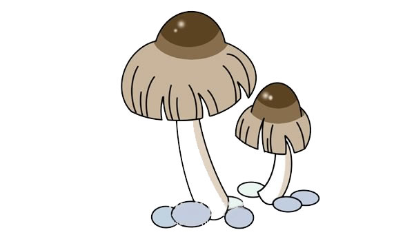 每天学一幅简笔画--蘑菇简笔画简单画法步骤图解教程