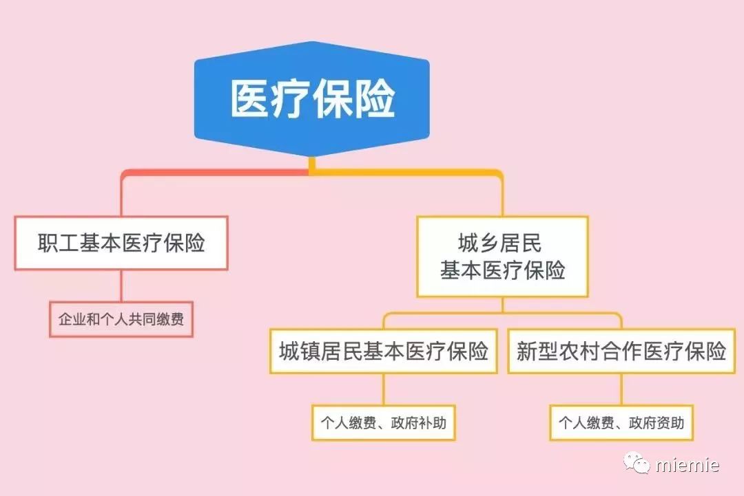 非农户口有人口安置吗_非农户口是城镇户口吗