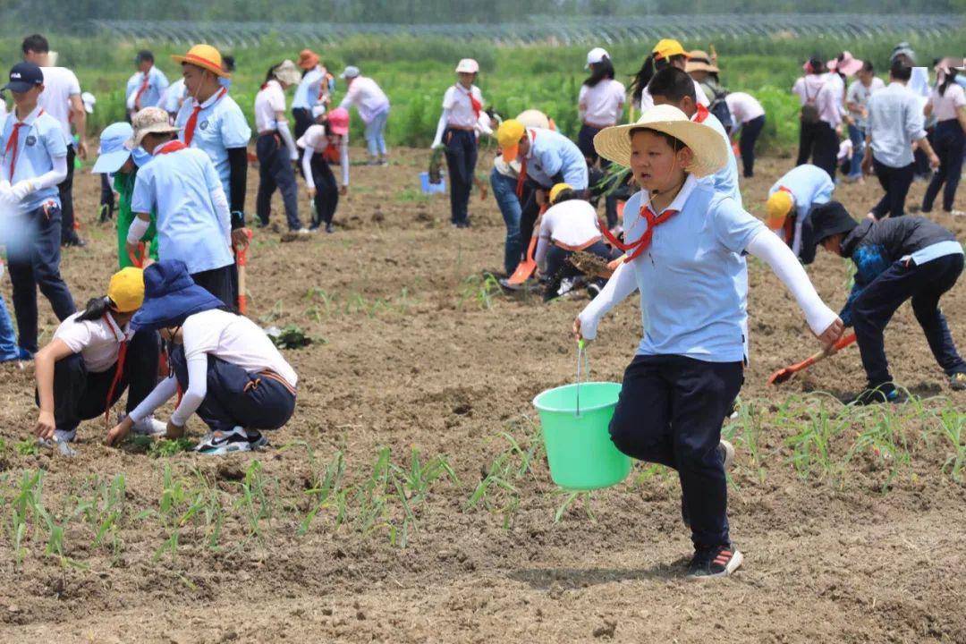 行业·了望 | 劳动教育将成为必修课,全面覆盖大中小学生