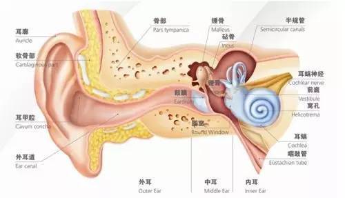 清 远惠耳听力助听器—失眠也会影响听力健康