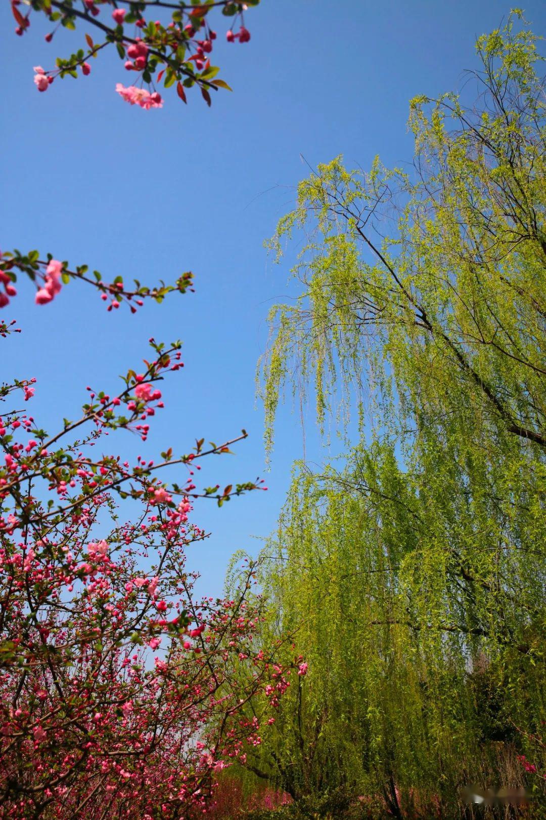 特大花红柳绿半裙怎么搭_月饼怎么画