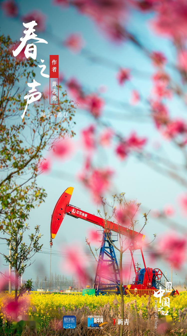 「」这是我见过最好看的红配绿