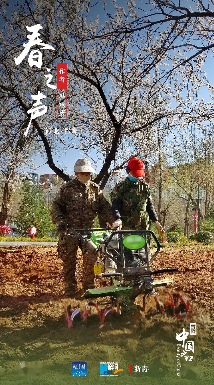 「」这是我见过最好看的红配绿