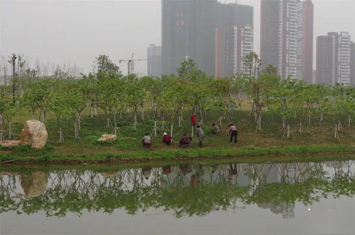 美丽桃花岛 远安钓鱼人