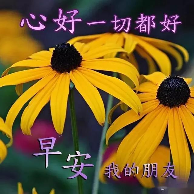 清晨早安祝福语唯美的句子 2020早上好表情图片