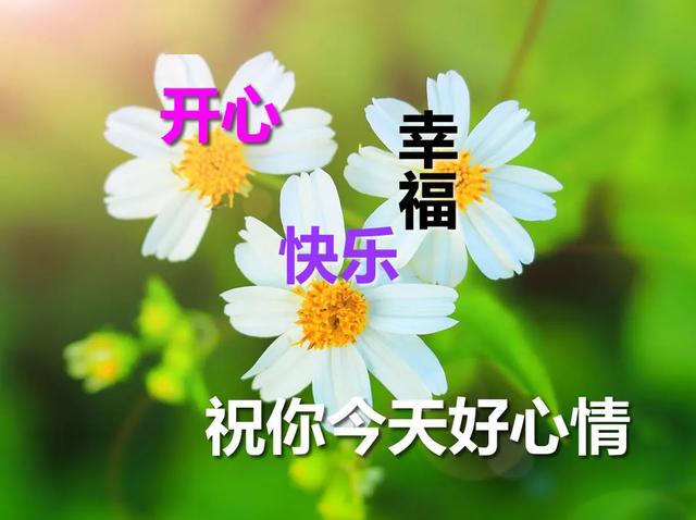 适合群发的早上好问候图片 值得收藏的早晨表情