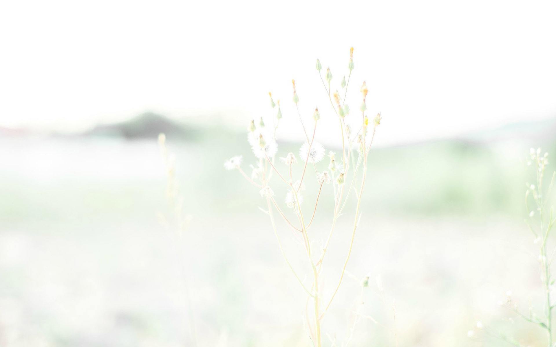 65982d0057ac4c44813957cf1ca3005f.jpeg