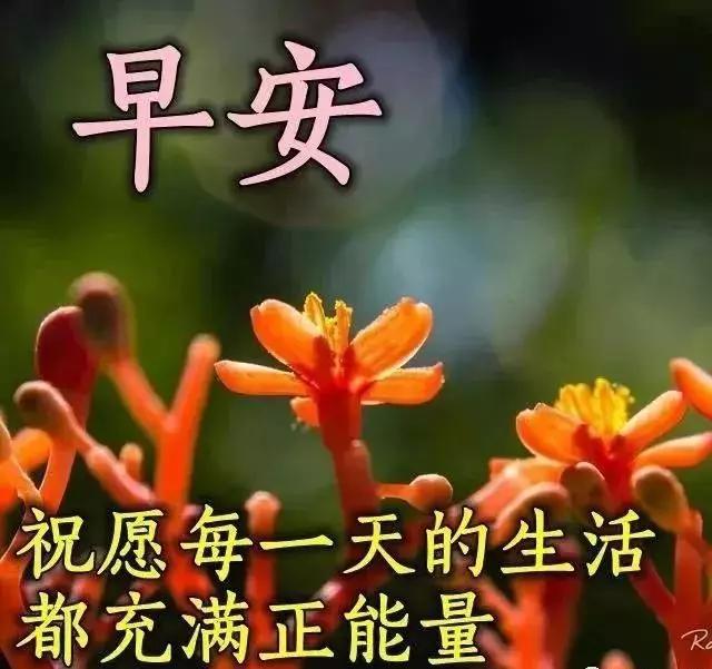 早安快乐祝福语录带字图片,早晨好阳光祝福图片微信带