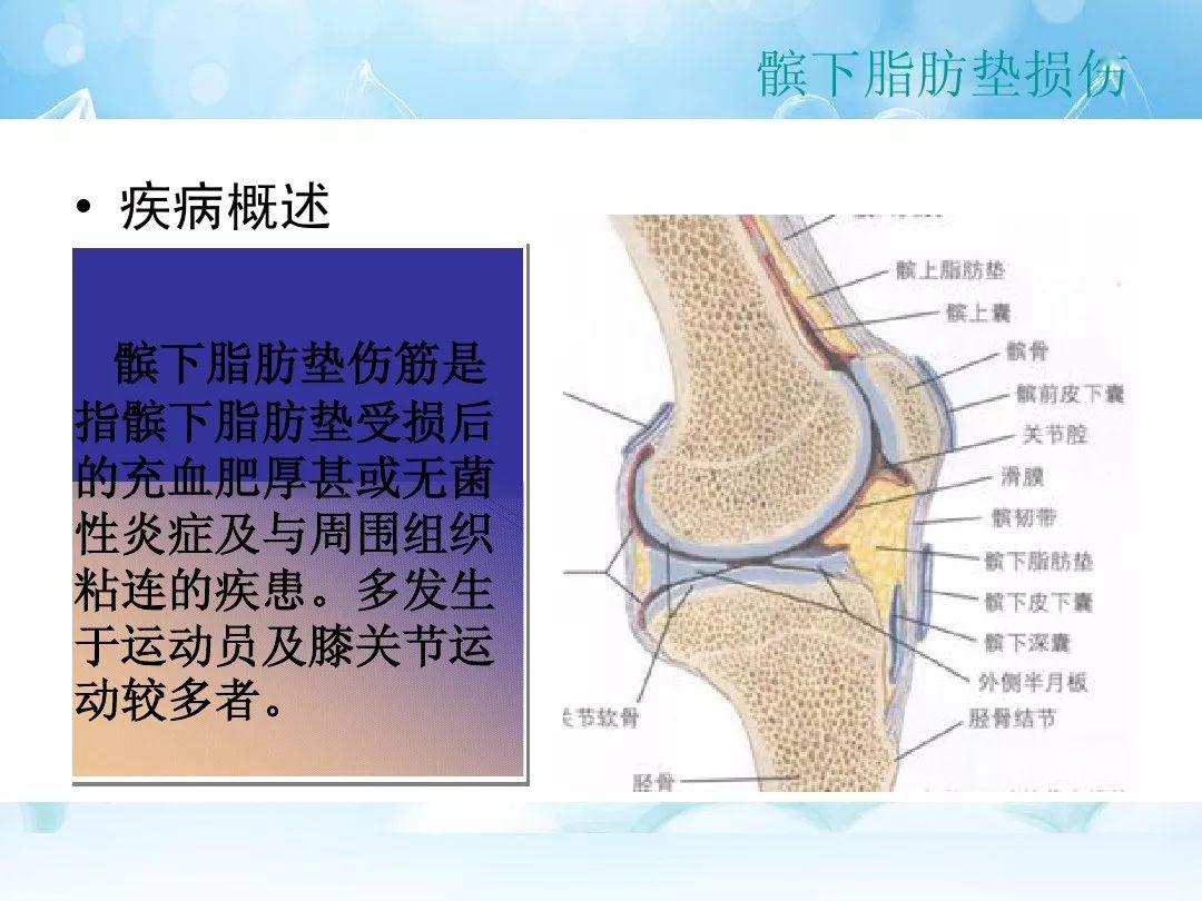 来源:网络郑大解剖学 腾康学院试听膝关节疼痛的徒手治疗膝关节是下肢