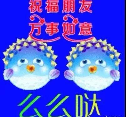 春天下雨天早上好动图表情包图片带字