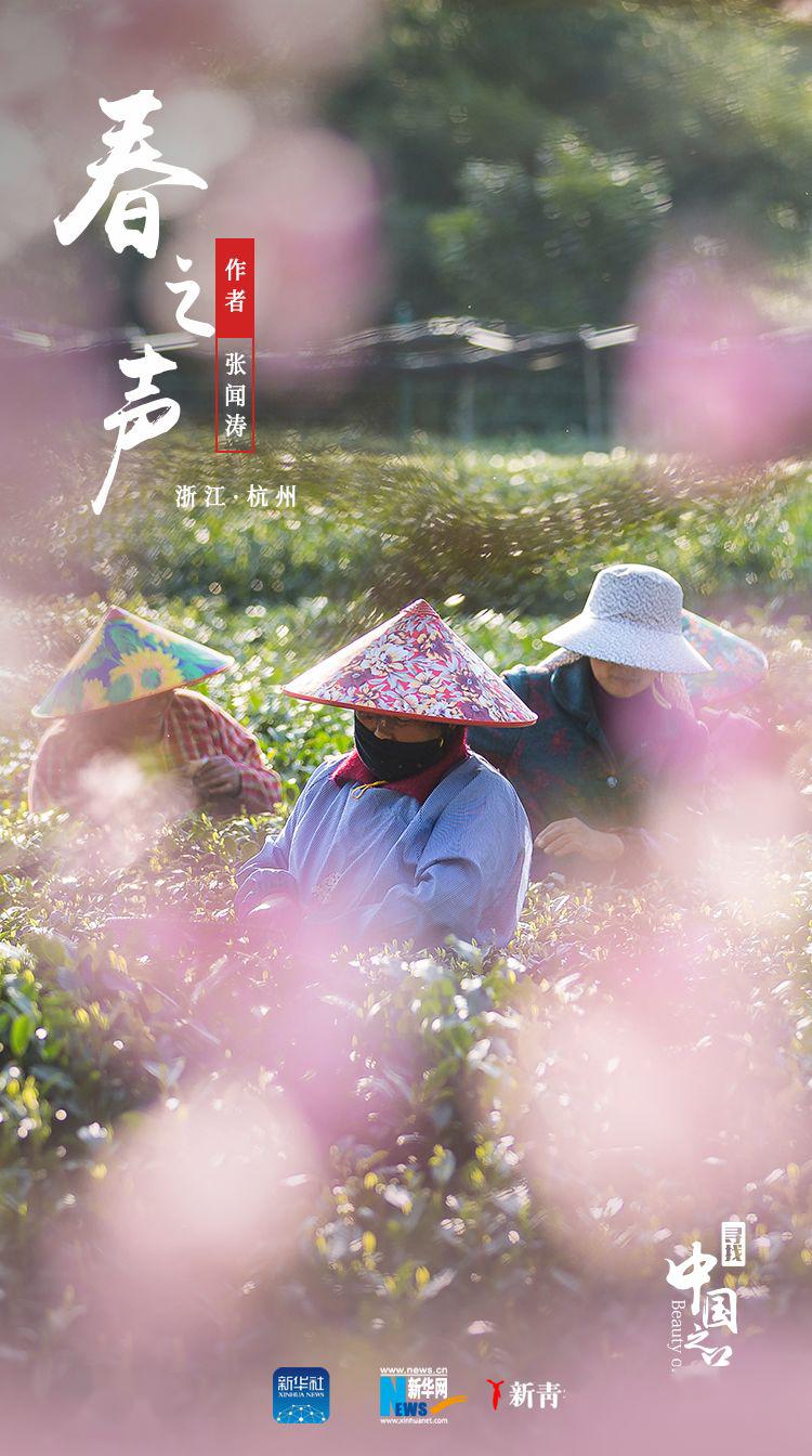 「」这是我见过最好看的红配绿