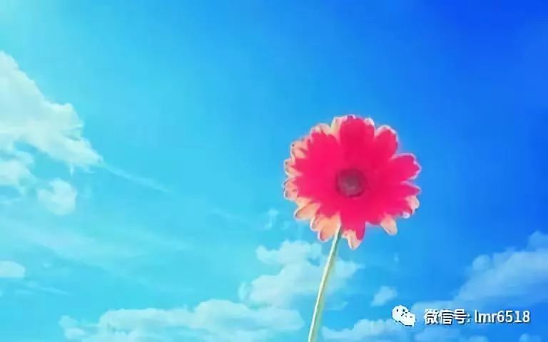 85edaaf9aa344ff6a773b33d68fe0c80.jpeg