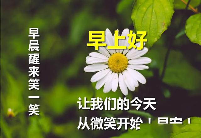 2020早晨好的问候语图片表情 发朋友圈好看的早晨图片