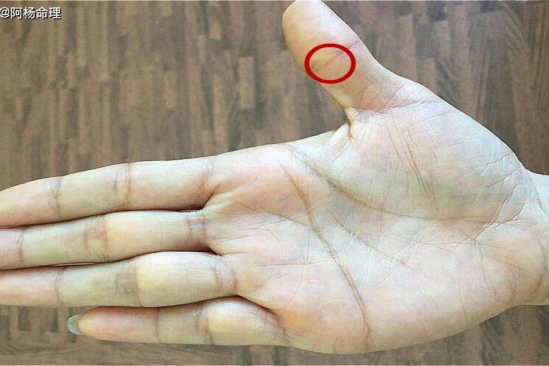 女人手掌发财线是哪条,这里"越大",旺家又旺夫,财运滚 