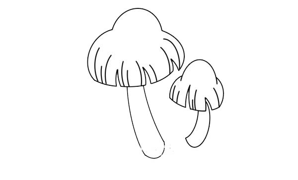 每天学一幅简笔画--蘑菇简笔画简单画法步骤图解教程