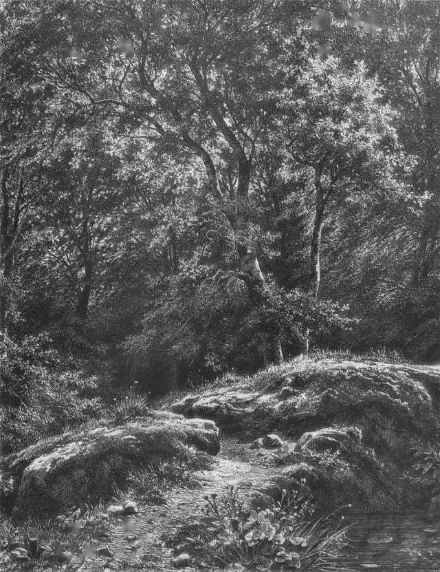 黑白色的光影——素描风景
