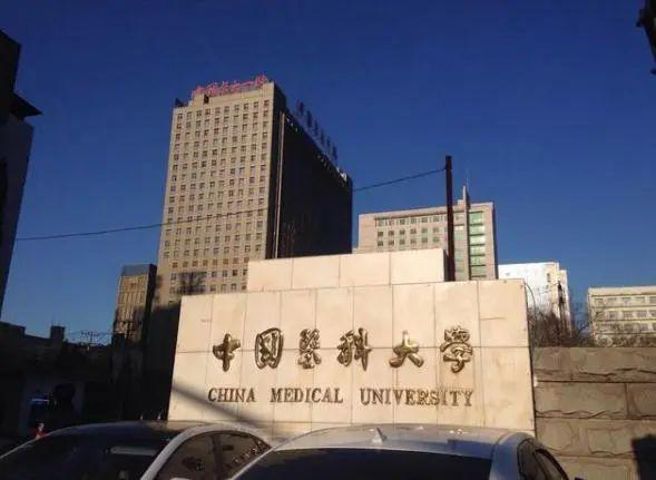 「一览」以“中国”开头的三十多所高校层次一览