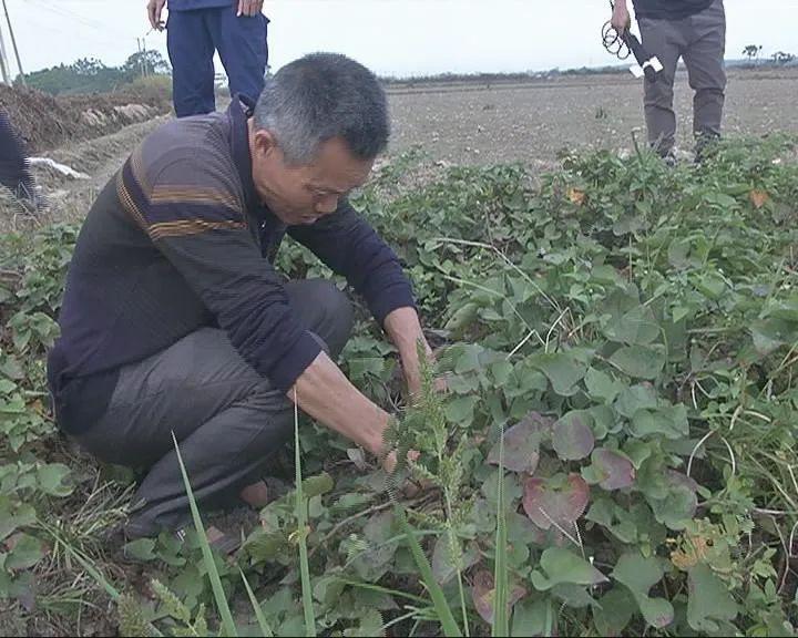 仙庵镇人口_仙庵镇东铺村陈少宏(2)