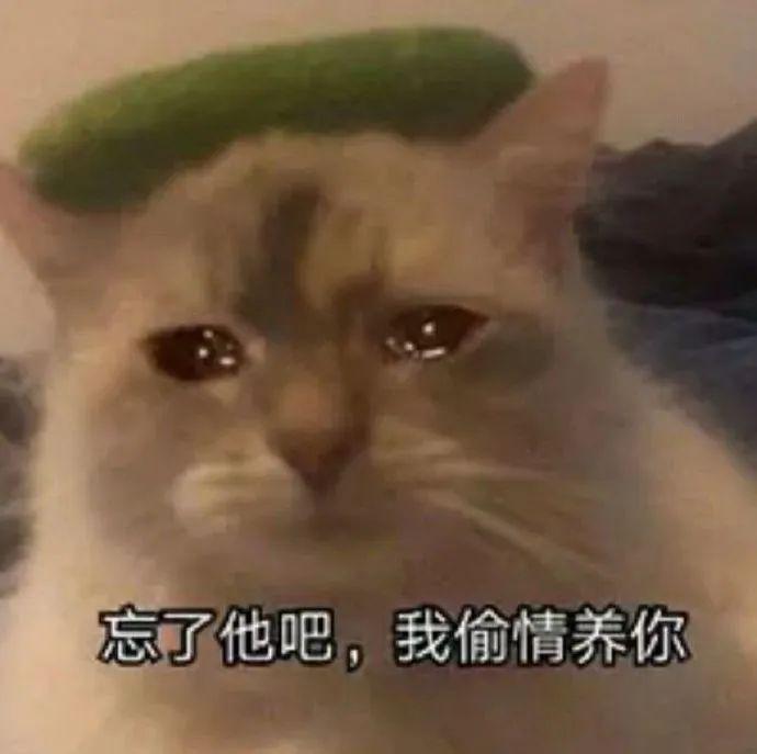 沙雕表情包:别看了,我过得比你好!