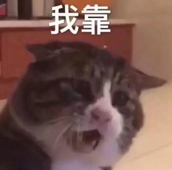 沙雕表情包:别看了,我过得比你好!