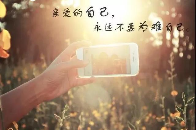 苦乐随缘,得失随缘,这也是随缘人生的最高境界,早安!