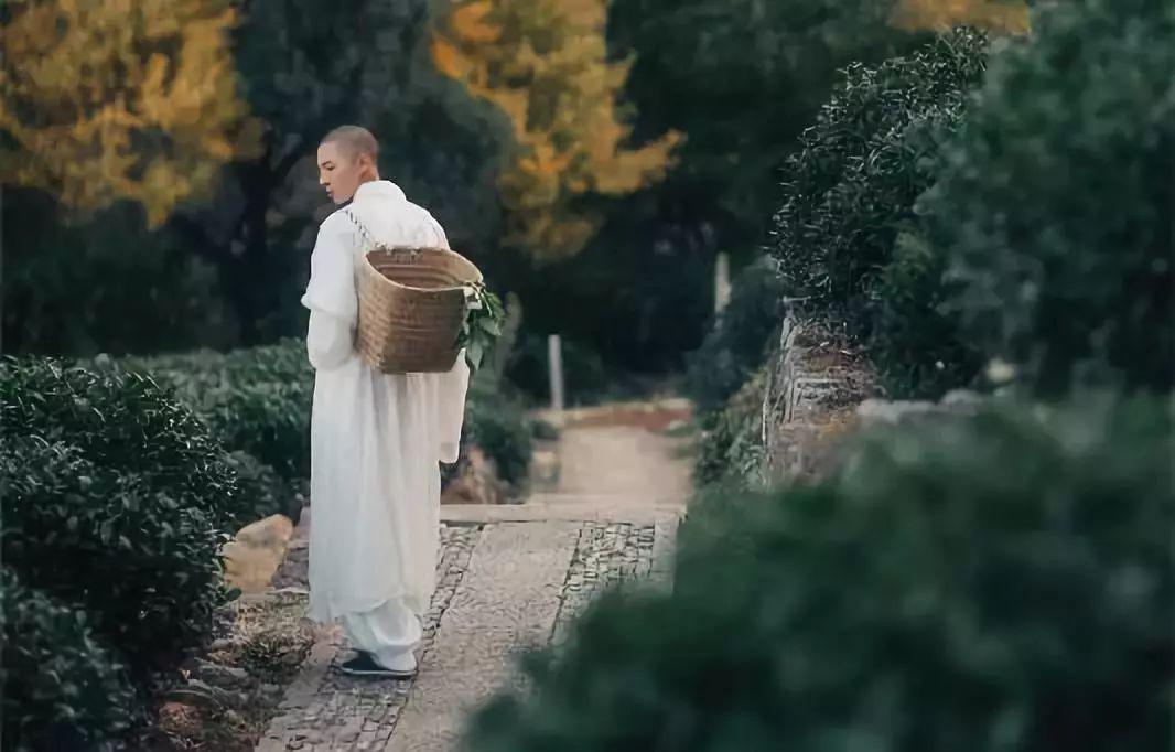 人生很短,让一切顺其自然!