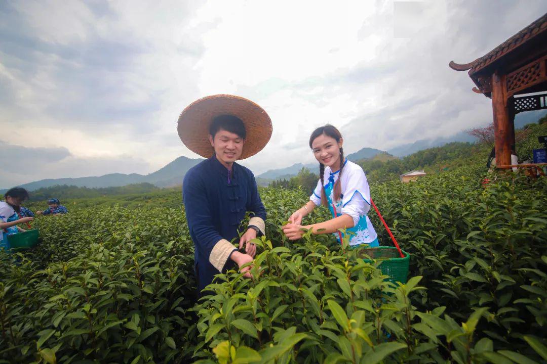 铜鼓网上直播花样多►卖美景、卖生态、卖文化……