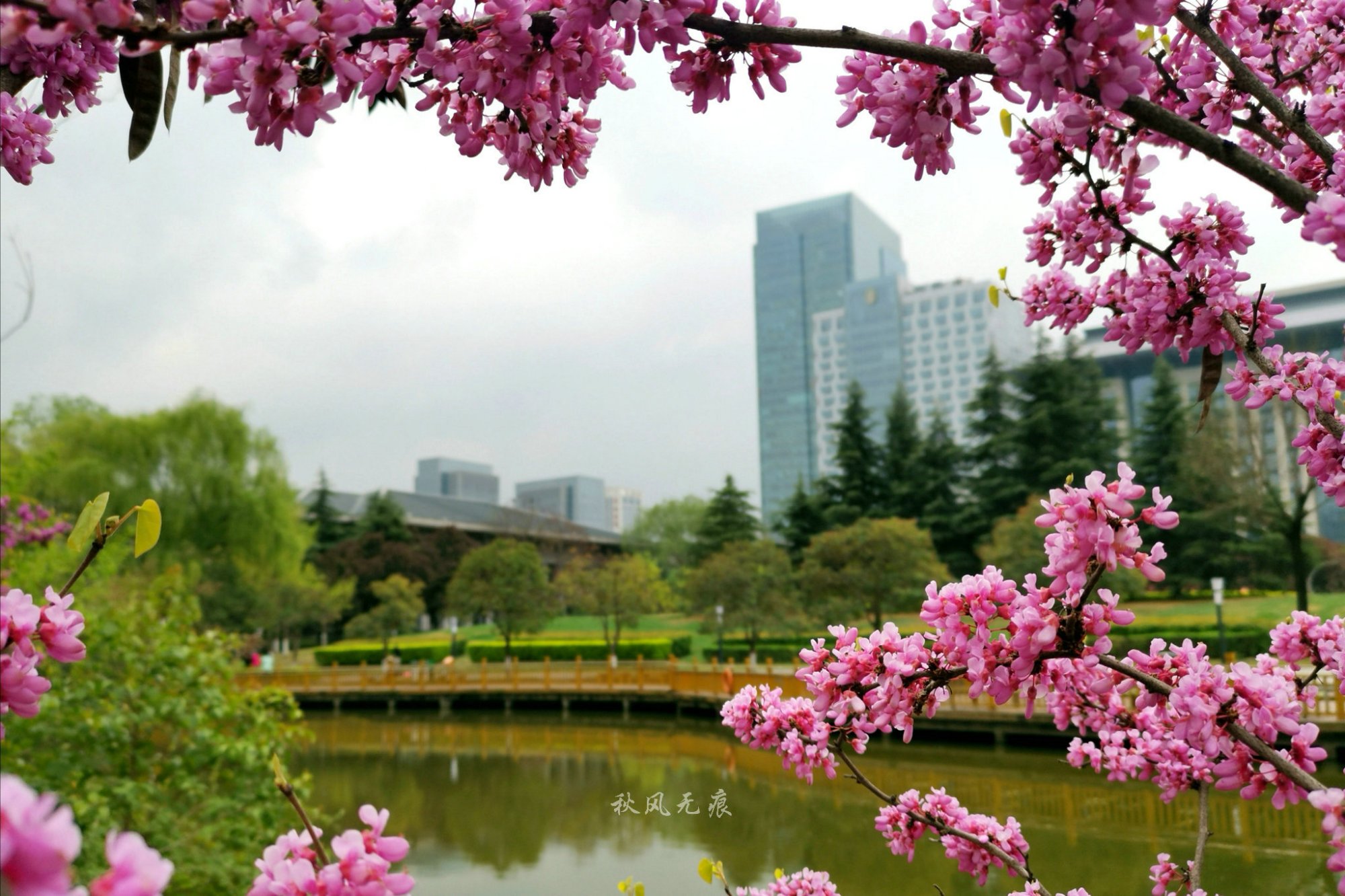 春雨后西安城北的画境湖韵 运动