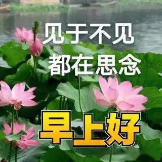 早上好问候美图,早安问候语句.
