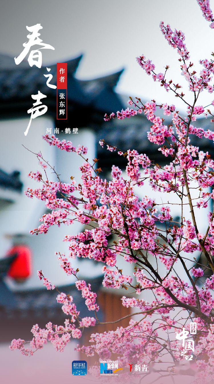 「」这是我见过最好看的红配绿