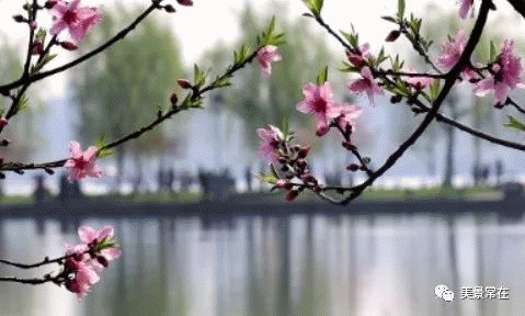 ef84d5382b5d45a497b838373f2b6bc8.gif