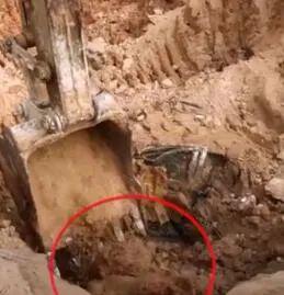 视频疯传“挖掘机工地挖出汽车”?斗门人民来