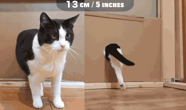 066bc325015e49cc9e3644f042104c7c.gif