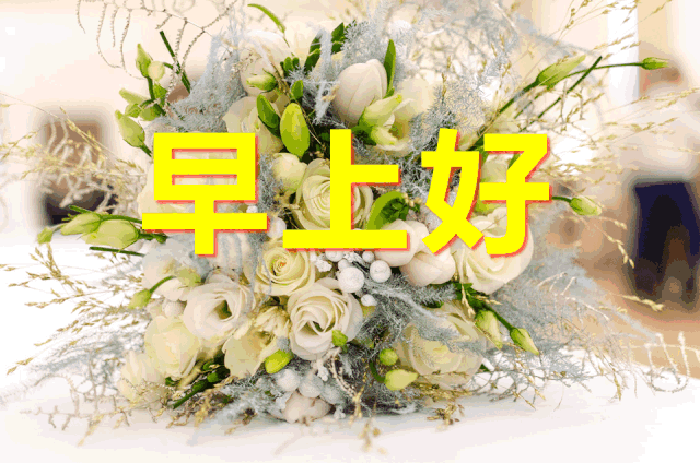 0e9f22a7dad04e439732c2ae0d7ac408.gif