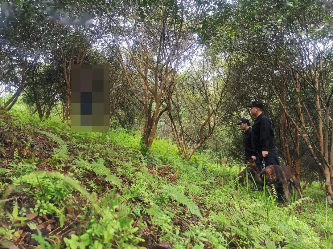 广西百色1死2伤命案告破!犯罪嫌疑人已畏罪自杀