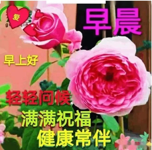 周末早上好问候祝福语唯美祝福图片,特好看早安祝福美